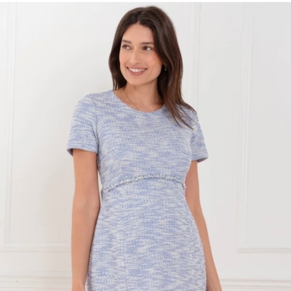 Seraphine Blue Tweed Dress